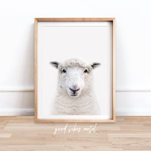 Sheep Print, Printable Sheep Art, Nursery Animal Print, Printable Farmhouse Sheep Large Poster, Sheep Wall Art, Digital Download, Art Prints