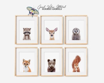 Woodland Nursery Decor, Baby Animal Prints, Set of 6 Prints Animals, Woodland Nursery Prints, Nursery Wall Art, Digital Download