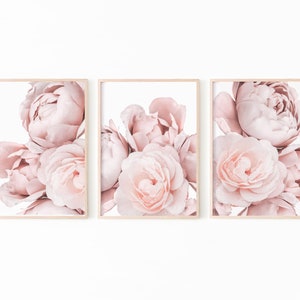 Peony Print, Peony Wall Art, Botanical Prints Set of 3, Pink Rose Print, Floral Print Wall Art, Printable Wall Art Set