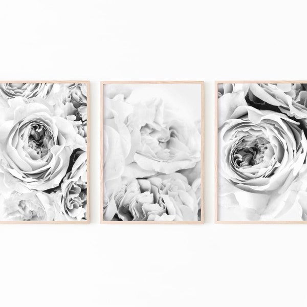 Peony Print Set of 3, Peony Wall Art, Flower Print Black and White, Peonies Print Digital, Floral Print, Botanical Print Download