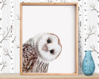 Owl Printable Art, Woodland Nursery, Nursery Animal Art, Forest Animal, Baby Girl Gift, Nursery Prints, Owl Print, Baby Animal Prints