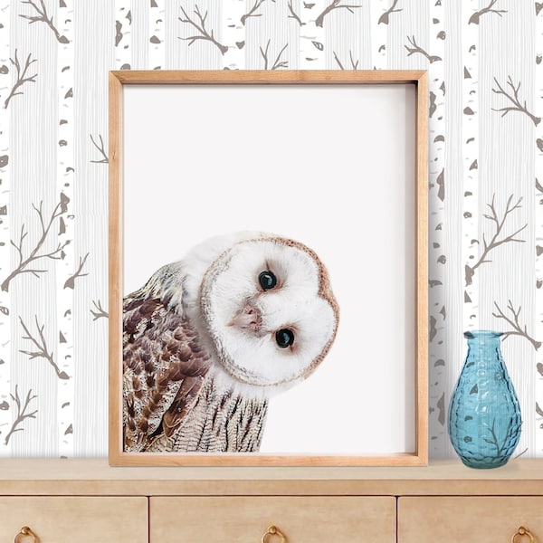 Owl Printable Art, Woodland Nursery, Nursery Animal Art, Forest Animal, Baby Girl Gift, Nursery Prints, Owl Print, Baby Animal Prints