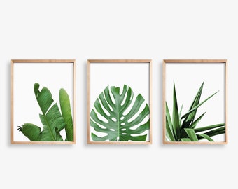 Tropical Print Set of 3 Prints,Palm Leaf Print Digital Download,Tropical Leaf Print,Monstera Print,Palm Leaf Wall Art,Botanical Art Set