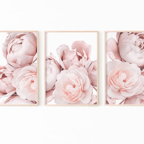 Flower Art Prints Pink Floral Decor Botanical Wall Art Etsy