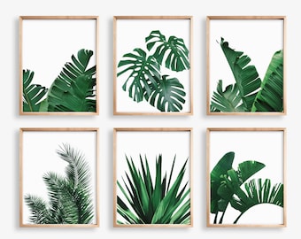 Tropical Leaves Set of 6 Prints, Monstera Leaf Print, Leaf Print Set, Palm Leaf Print Digital Download, Banana Leaf Print, Tropical Decor