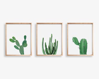 Cactus Print Set of 3 Print Large Cactus Wall Art Cactus Photography, Nature Print  Cactus SouthWestern Decor Printable Art Succulent Print