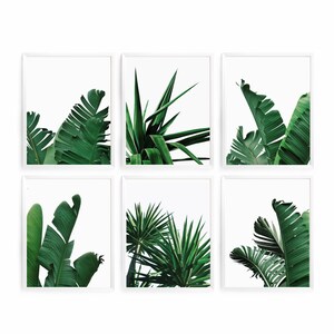 May include: Set of six framed prints featuring close-up images of tropical green leaves. The prints are arranged in a grid pattern.