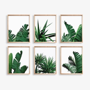 May include: Set of six framed prints featuring close-up images of tropical green leaves. The prints are arranged in a grid pattern.