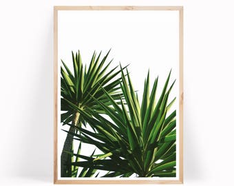 Palm Leaf Wall Art, Tropical Leaf Print, Tropical Leaves, Palm Tree Print, Tropical Art, Palm Leaf Printable, Digital Prints, Scandi Decor