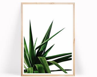 Tropical Palm Leaf Print, Palm Leaf Print, Botanical Art, Palm Printable, Palm Tree Art, Tropical Art Print, Palm Leaf Wall Art