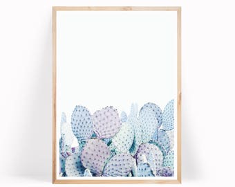 Pastel Cactus Print - Desert Print - Cactus Photo - Prickly Pear Print