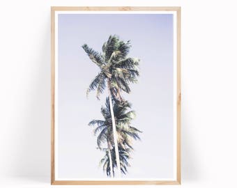 Palm Trees Print - Tropical Palm Poster - Boho Decor - Palm Tree Photography