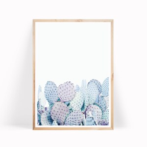 Pastel Cactus Print - Desert Print - Cactus Photo - Prickly Pear Print
