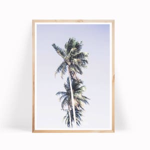Palm Trees Print - Tropical Palm Poster - Boho Decor - Palm Tree Photography