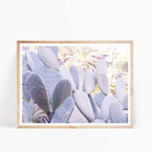 Modern Cactus Print, Cactus Wall Art, Desert Wall Art, Desert Photography,South Western Wall Art, Desert Digital Download, Cactus Art Print