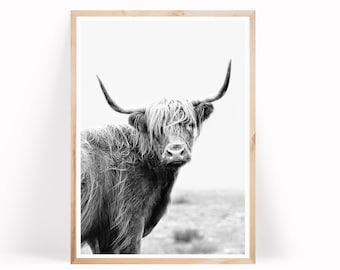Highland Cow Print, Wall Art, Printable Art, Poster in bianco e nero, Arredamento per fattoria