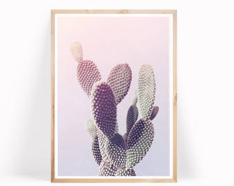 Prickly Pear Cactus Print - Boho Print - Desert Cactus Photography - Bunny Ear Cactus