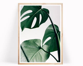 Monstera Leaves Botanical Print, Monstera Leaf Art, Tropical Leaf Wall Art, Botanical Poster Monstera Art Print, Large Leaf Poster, Wall Art