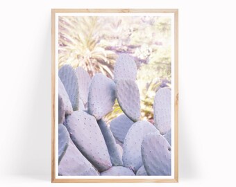 Cactus Wall Art, Desert Wall Art, Modern Cactus Print, Desert Photography,South Western Wall Art, Desert Digital Download, Cactus Art Print