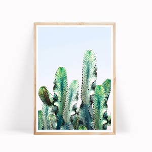 Cactus Photo Print, Desert Collage Art, Wall Art Decor, California Cactus, Southwestern Print, California Desert Print, Cactus Digital Print