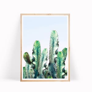 Cactus Photo Print, Desert Collage Art, Wall Art Decor, California Cactus, Southwestern Print, California Desert Print, Cactus Digital Print image 1