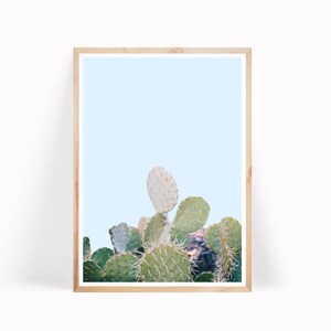 Succulent Print, Cactus Photo, Cactus Print Art, Cacti Print, Cactus, Botanical Print, Cactus Art, Cactus Printable, Cactus Desert Print