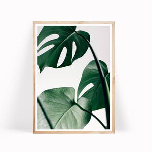 Monstera Leaves Botanical Print, Monstera Leaf Art, Tropical Leaf Wall Art, Botanical Poster Monstera Art Print, Large Leaf Poster, Wall Art