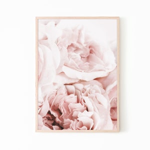 Peony Print, Floral Print Wall Art, Peonies Print, Flower Print, Printable Art, Botanical Print, Flower Poster, Gift for Her, Pink Prints