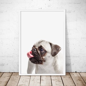 Pug Print, Pug Printable, Pug Art Print, Dog Poster, Pug Art, Dog Print, Pug Lovers, Animal Photography,Pug Poster, Pug Wall Art, Dog Art image 2