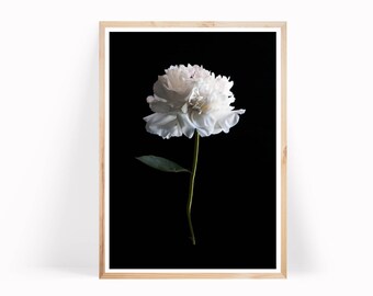 Flower Print, Peony Print, Botanical Wall Art, Home Decor, Black and White Print, Peony Poster, Art Prints, Minimalist Wall Art, Flower Art