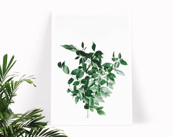 Skandinavischen Druck, Scandi druckbare, druckbare botanische Poster, grüne Blätter Kunst, botanische Blätter digitaler Download, nordischen Stil