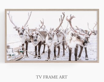 Winter Art Samsung Frame TV, Rendier Kunst, Christmas Frame TV, Samsung Art voor Kerstmis, Digitale Kunst voor TV