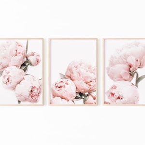 Peony Wall Art, Peony Print Set of 3, Blush Pink Wall Art, Botanical Print Digital Download, Flower Print Set, Peony Printables