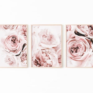Peony Print, Set of 3 Flower Print, Peony Wall Art, Blush Pink Prints, Peonies Printable Art, Floral Print Wall Art