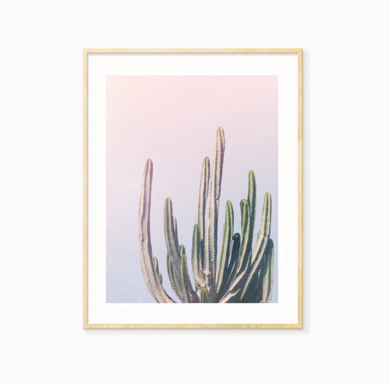 May include: A framed print of a cactus plant with green stems against a pink and purple gradient background.