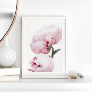 May include: A white framed print of two pink peonies on a white background.