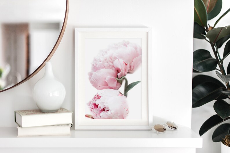 May include: A white framed print of two pink peonies on a white background.