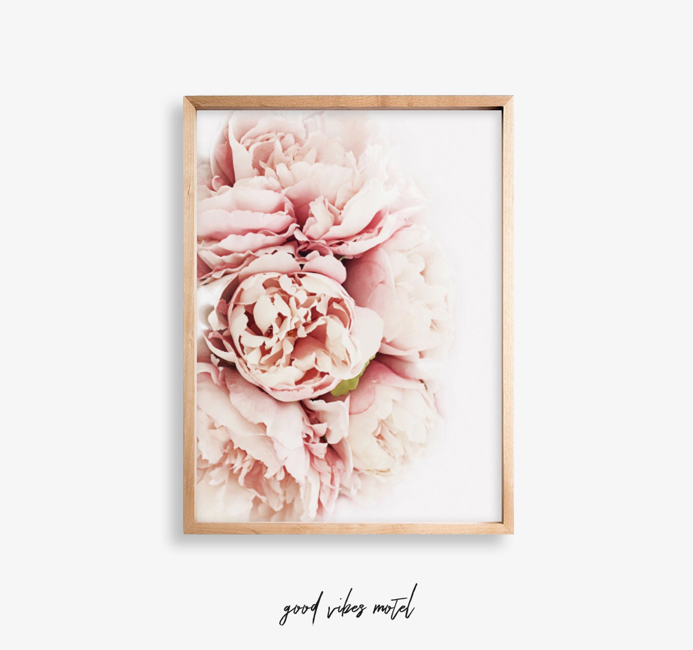 Peonies Photo Peony Wall Art Pink Peonies Print Flower | Etsy
