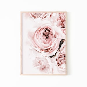 May include: A close-up of a bouquet of soft pink roses. The roses are arranged in a cluster, with the petals overlapping and creating a delicate and romantic effect.