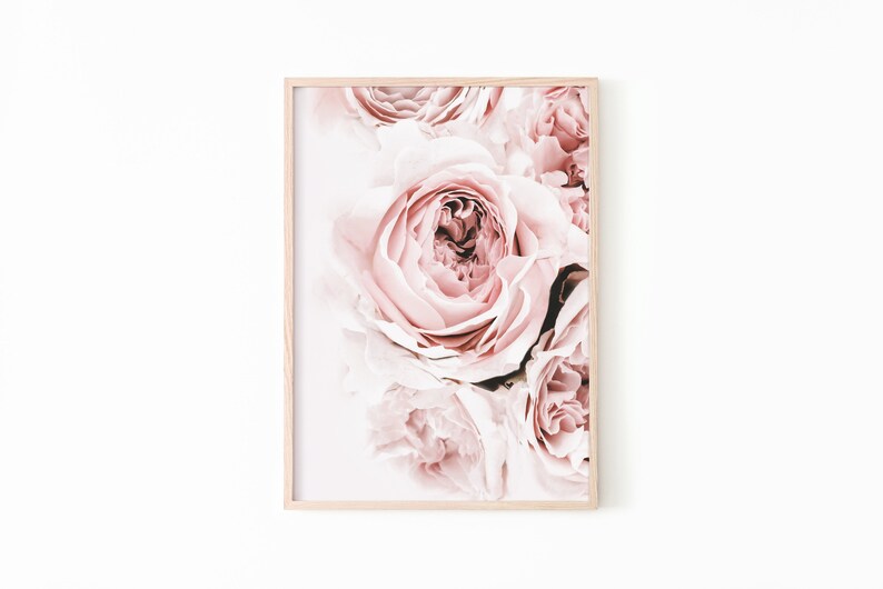 May include: A close-up of a bouquet of soft pink roses. The roses are arranged in a cluster, with the petals overlapping and creating a delicate and romantic effect.