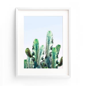 Cactus Photo Print, Desert Collage Art, Wall Art Decor, California Cactus, Southwestern Print, California Desert Print, Cactus Digital Print image 4