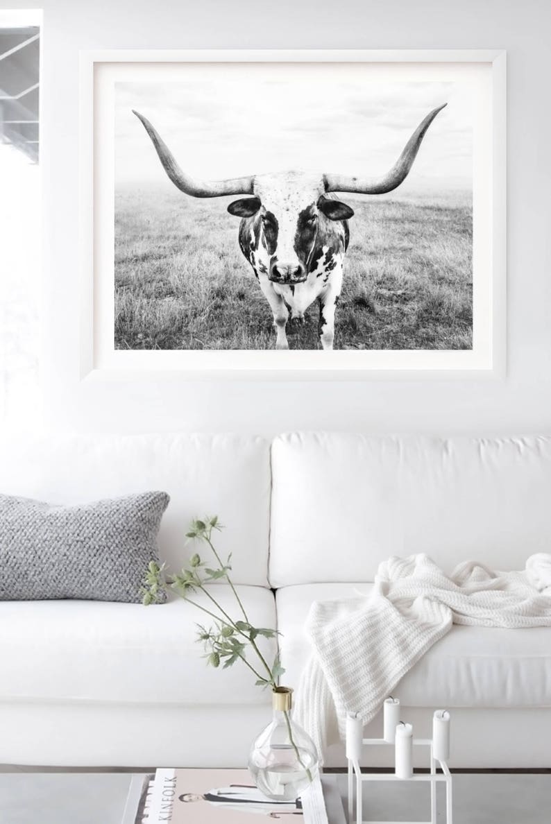 highland-cow-photo-print-bull-art-print-highland-cow-print-etsy
