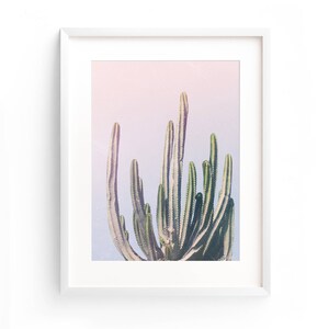 May include: A framed print of a cactus plant with green stems against a pink and purple gradient background.
