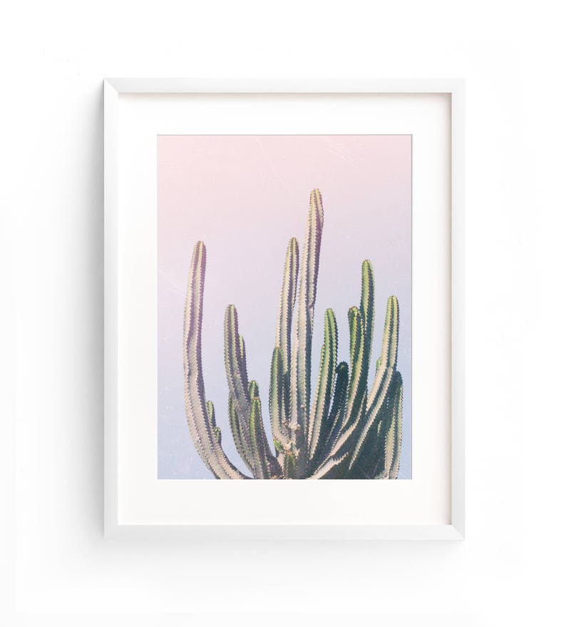 May include: A framed print of a cactus plant with green stems against a pink and purple gradient background.