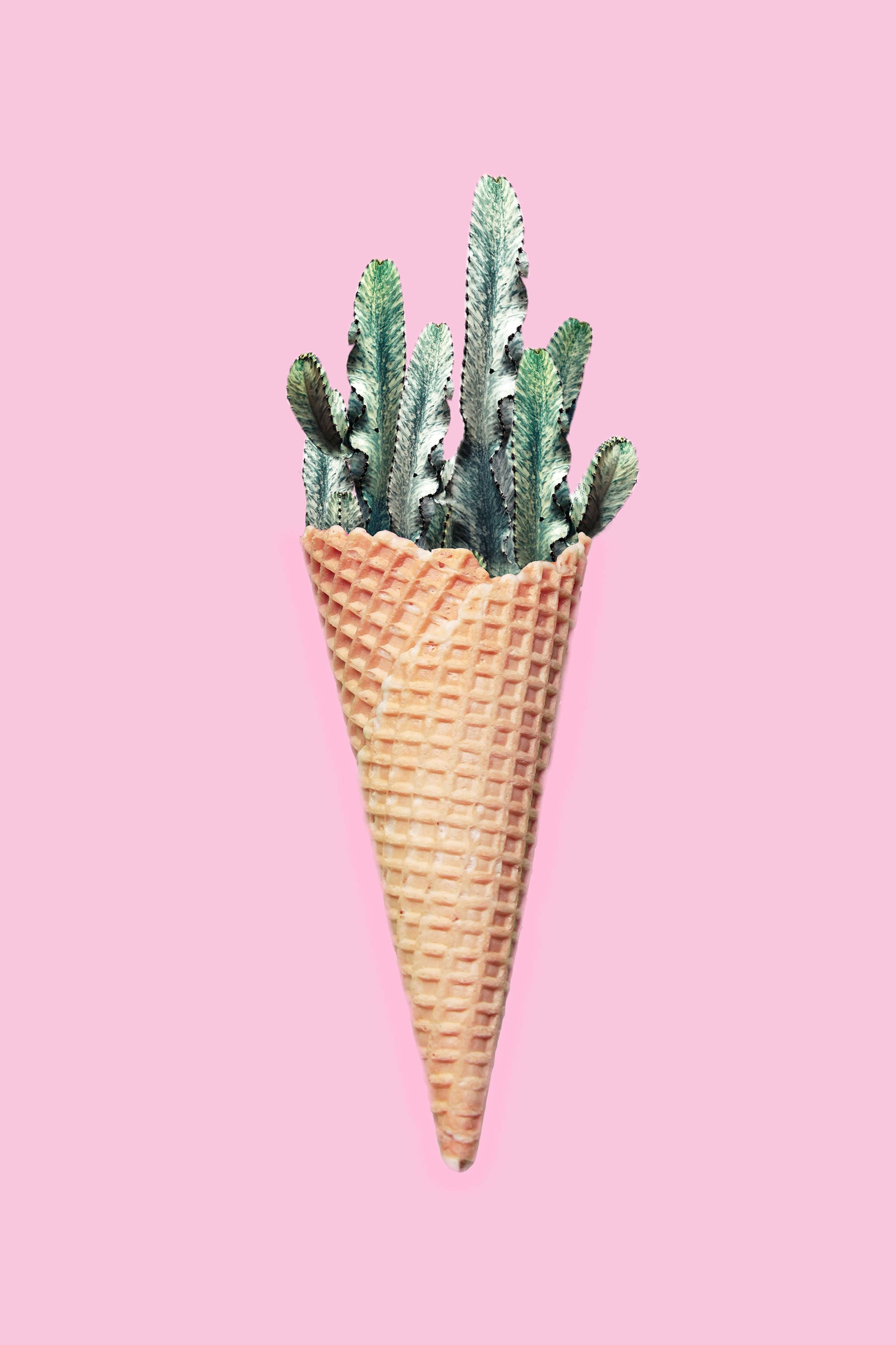Pastel Cactus Art, Pink Cactus Print, Cactus Ice Cream, Food Art Print,  Minimalist Cactus Collage Art, Succulent Wall Art, Cactus Printable - Etsy
