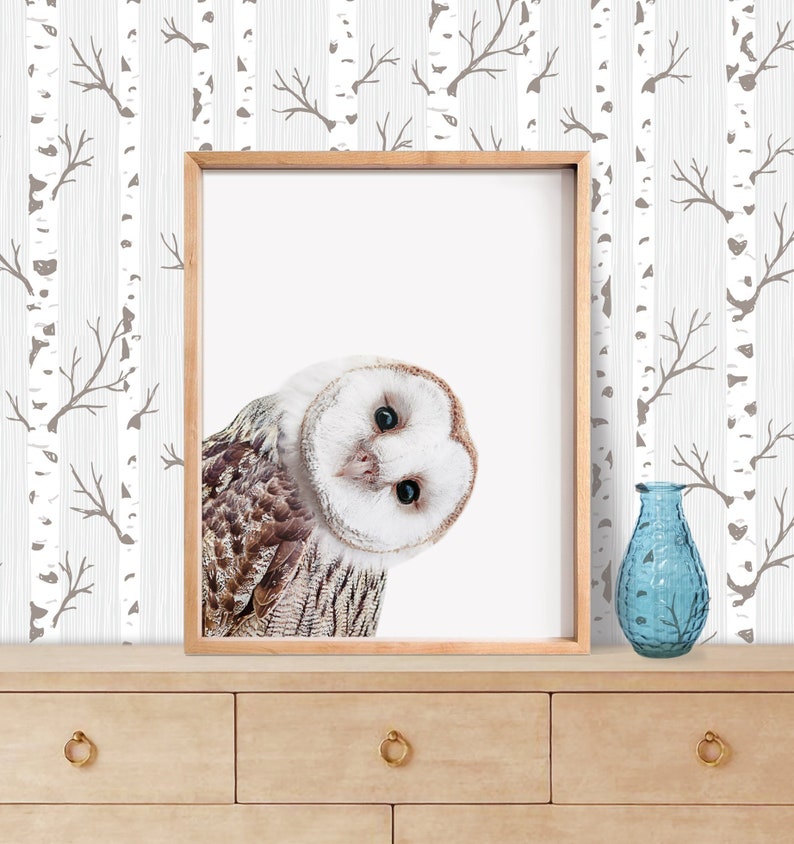 May include: A framed print of a barn owl with brown and white feathers, looking directly at the camera. The owl is peeking out from the top of the frame. The print is on a white background and is sitting on a wooden dresser with two drawers. A blue glass vase is on the right side of the dresser.