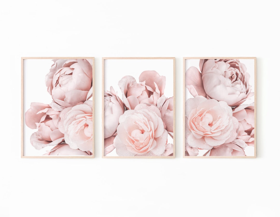 Peony Print, Peony Wall Art, Botanical Prints Set of 3, Pink Rose Print ...