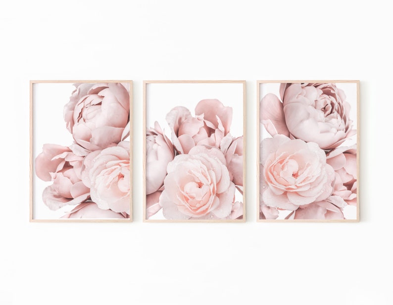 Op de afbeelding: Een set van drie ingelijste prints met close-ups van zachtroze pioenen. De pioenen zijn in een cluster gerangschikt, met hun bloemblaadjes die overlappen en een delicate en romantische uitstraling cre&euml;ren.