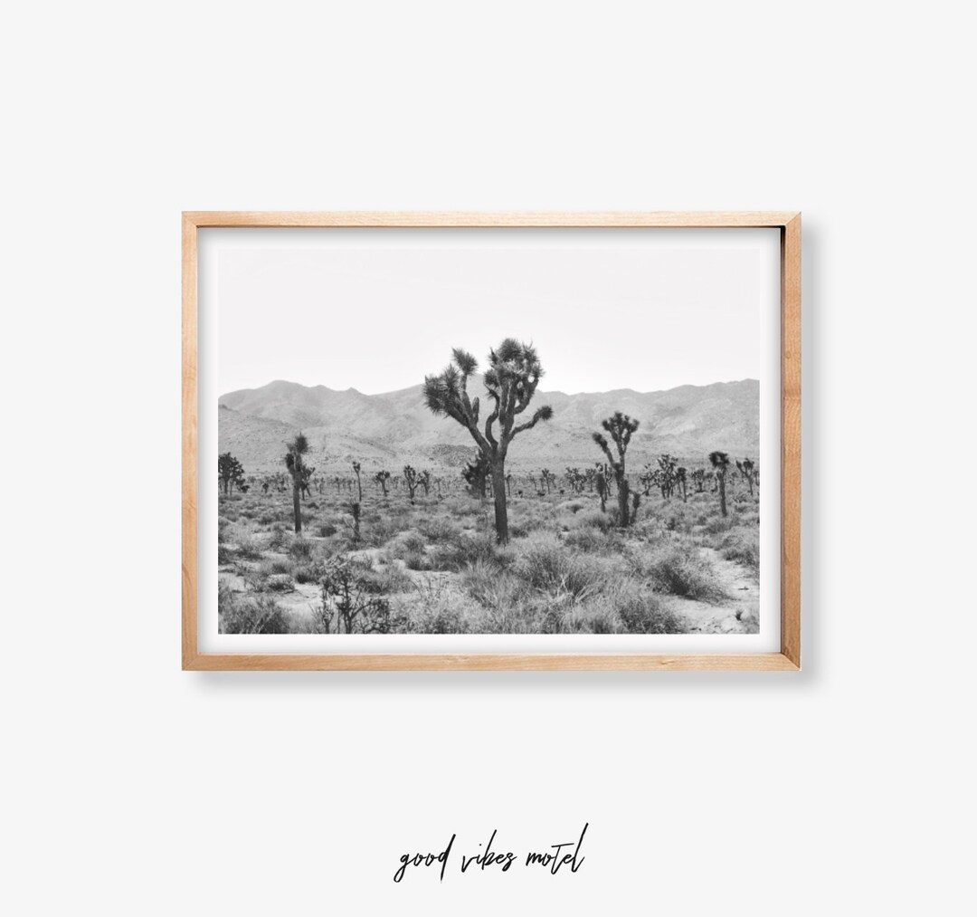 Joshua Tree Poster Black and White Art Print, Desert Decor, Joshua Tree