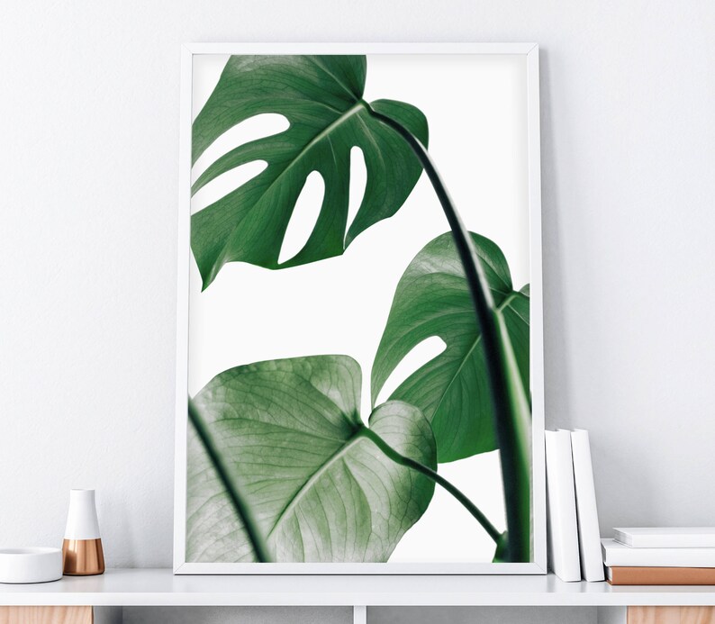 May include: A framed print of a close-up of a monstera plant with large, green leaves.